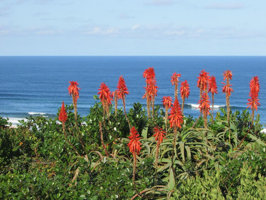 Melkhoutkloof Guest House Outeniqua Strand Экстерьер фото